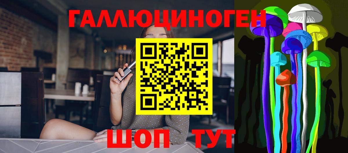 Псилоцибиновые грибы Psilocybe Усинск